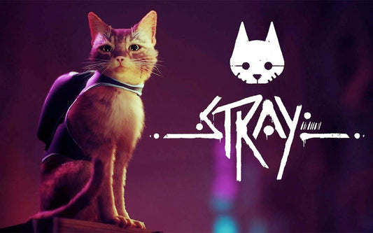 Stray Notes: Yann van der Cruyssen on composing soundscapes beyond human trespass