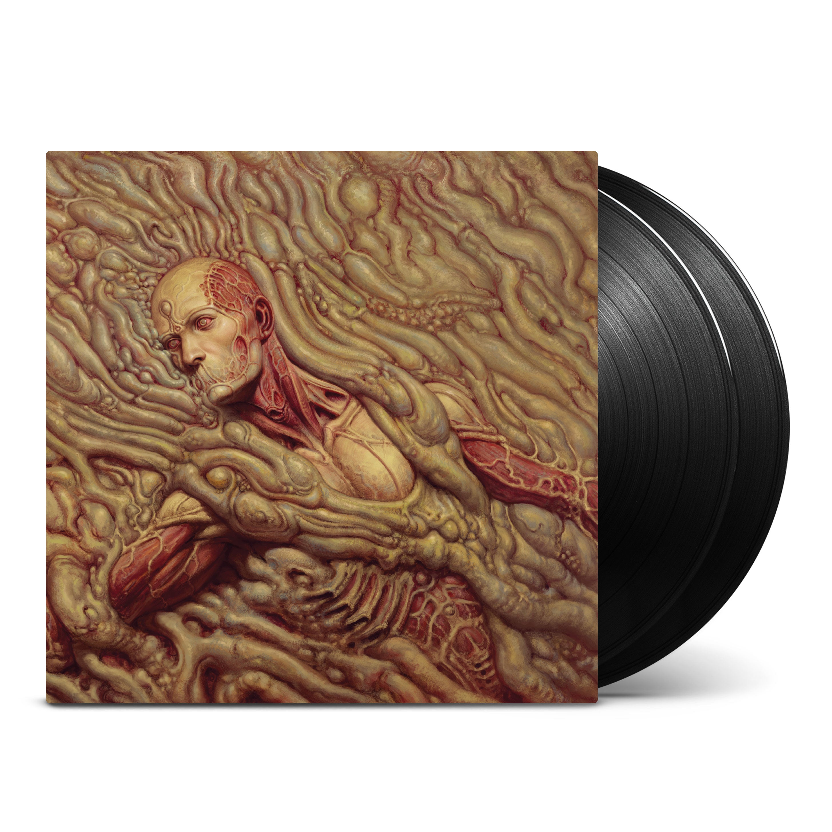 Scorn---Front-render.jpg?v=